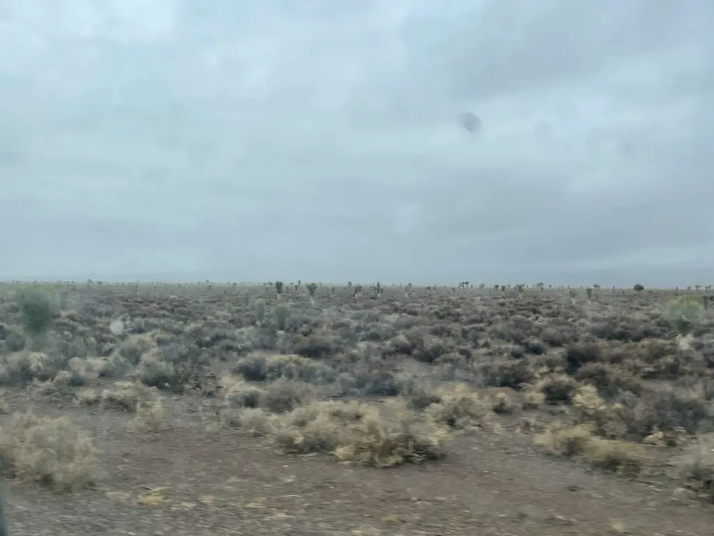 Desert scrub brush and cacti reach to the horizon on a cloudy day. 