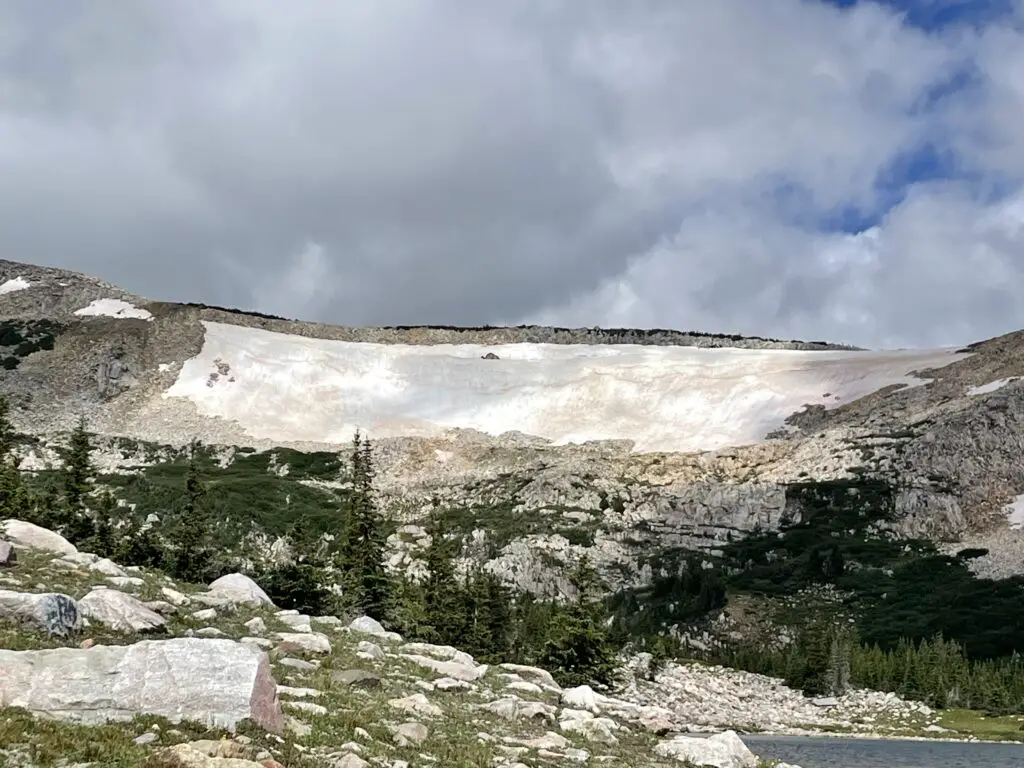 Gray, rock mountain mostly covered in a snowfield in the background. Pine trees and a rocky meadow in the foreground.
