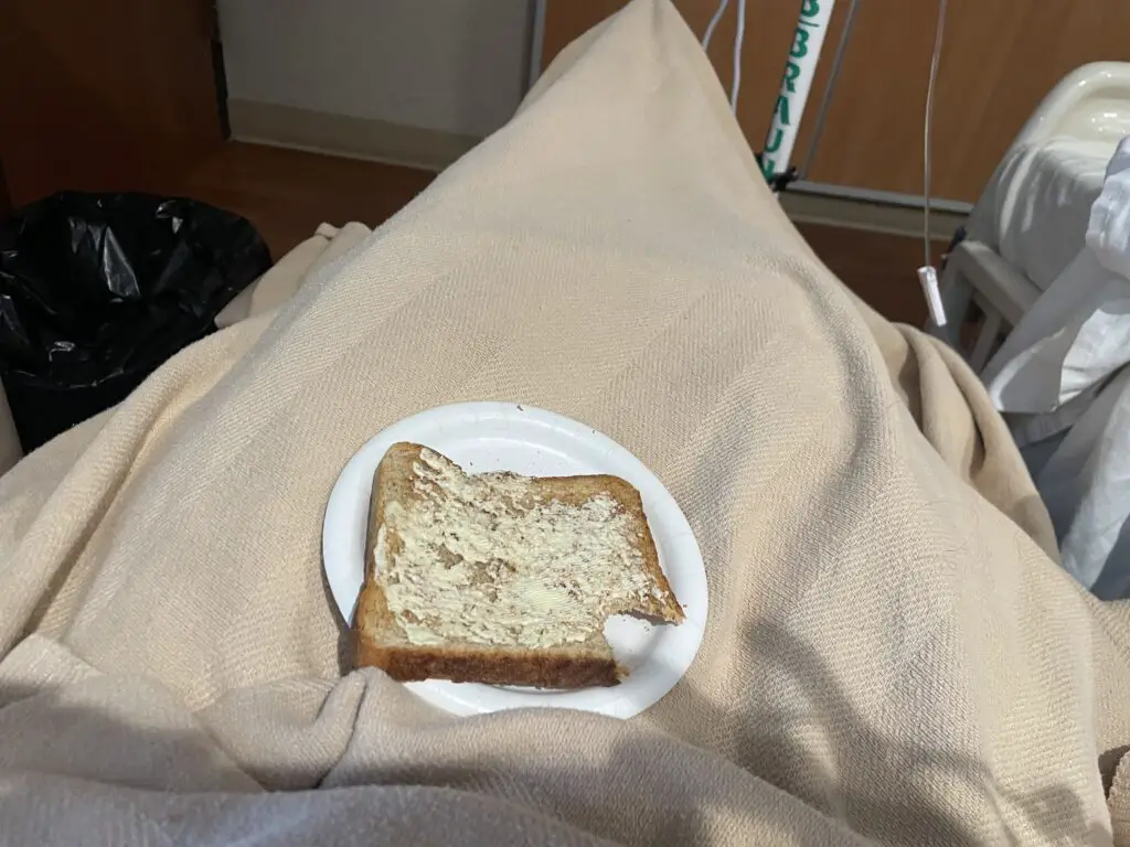 A piece of buttered toast sits on a plate which is in a person's blanketed lap