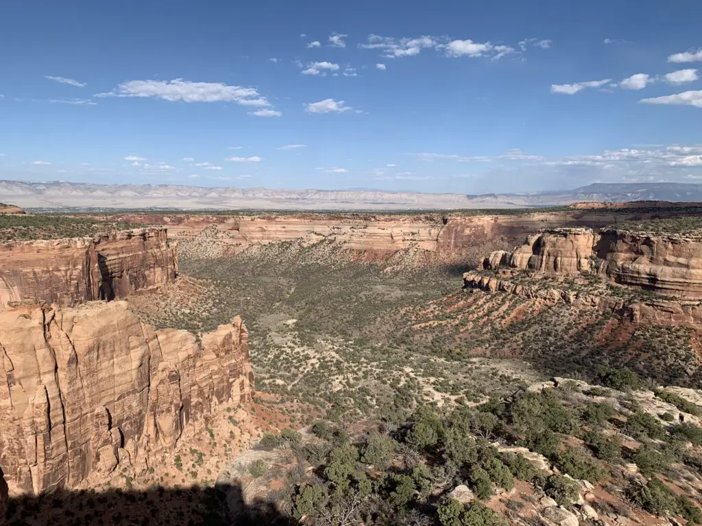 Scrub-brush covered canyon floor with red rock walls rising on the sides; brown, rocky cliffs in the background all under a blue sky with some white, puffy clouds.