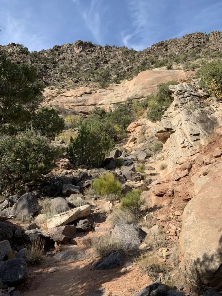 Green scrub brush and brown rock cover a steep, canyon wall