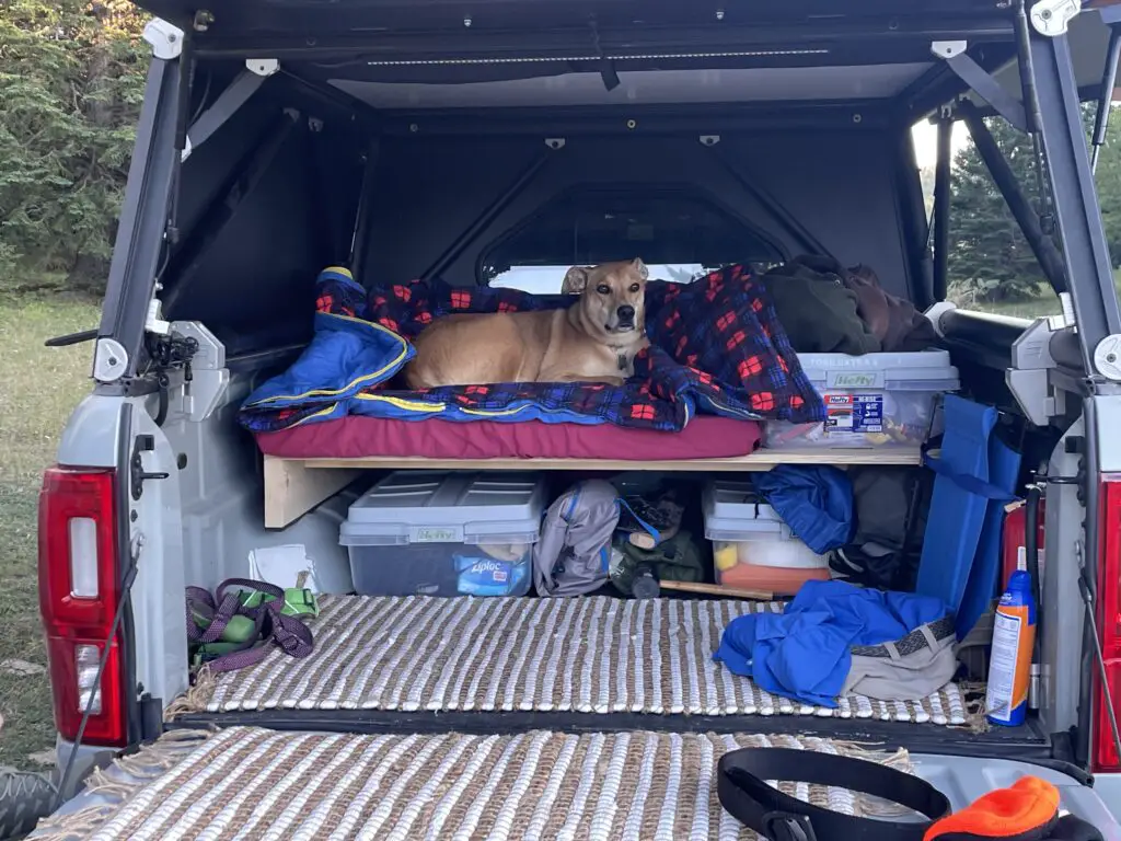 Dog lays on a dog bed and sleeping bag, that sits on a shelf, in a truck capper, with camping equipment underneath.