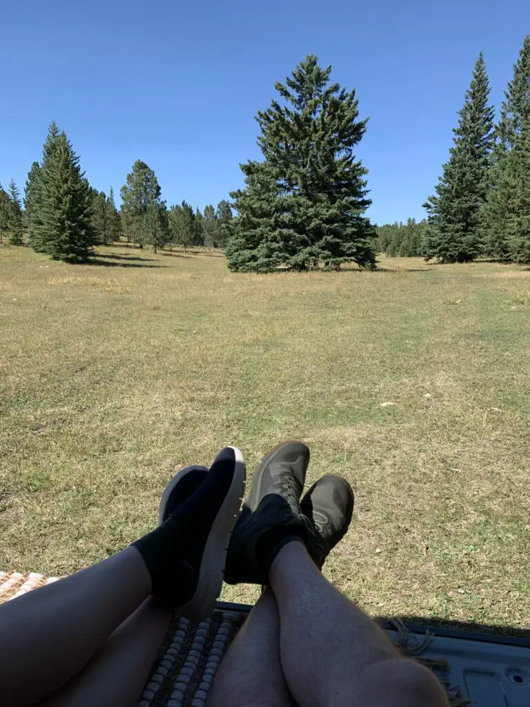 Sneaker-clad feet of two people sitting in a truck bed, overlooking a grassy meadow interspersed with large, pine trees, all under a clear, blue sky.