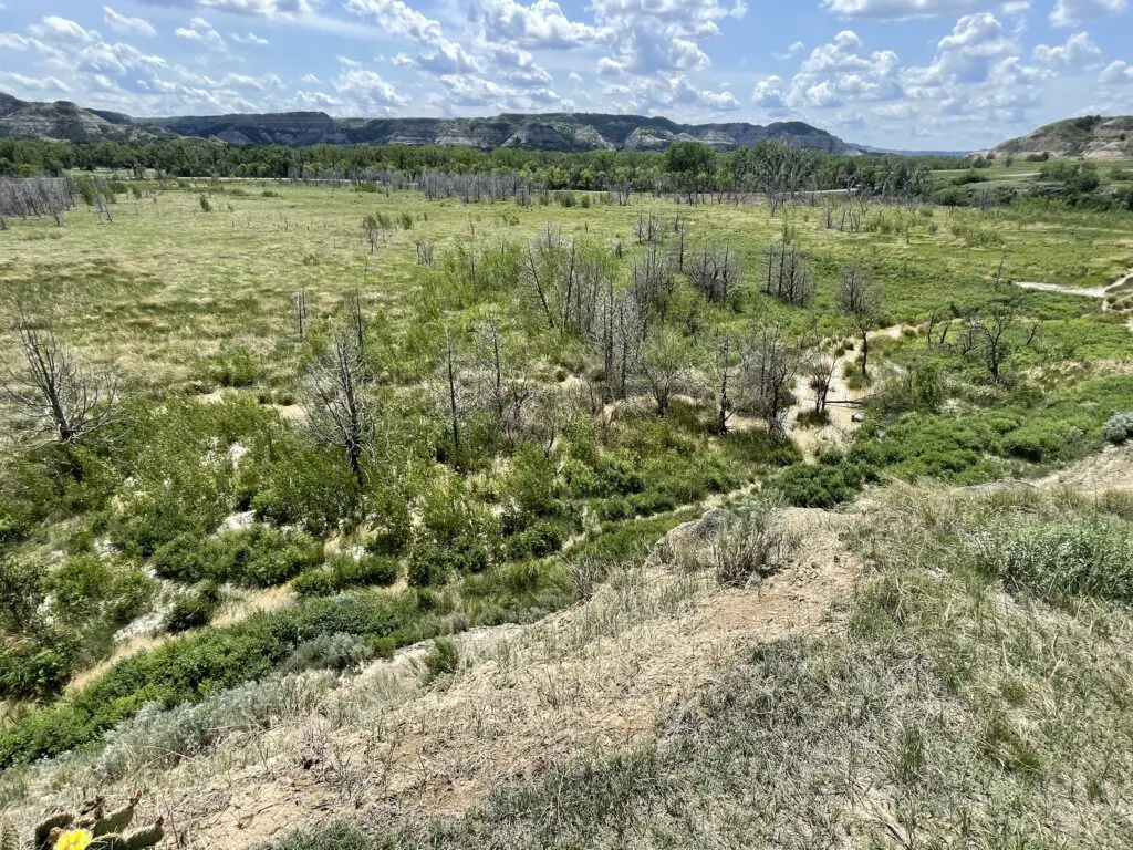 Stream running through a green, wetland-meadow with green hills in the background, all under a blue sky with white, puffy clouds. 
