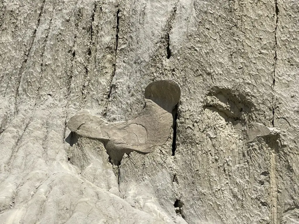 Rocky wall with a stone shape that resembles a bird or Mickey Mouse