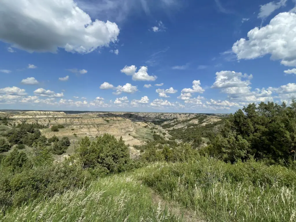 Green grass surrounded by green bushes, tan, rocky hills are in the background, all under a blue sky filled with white, puffy clouds.