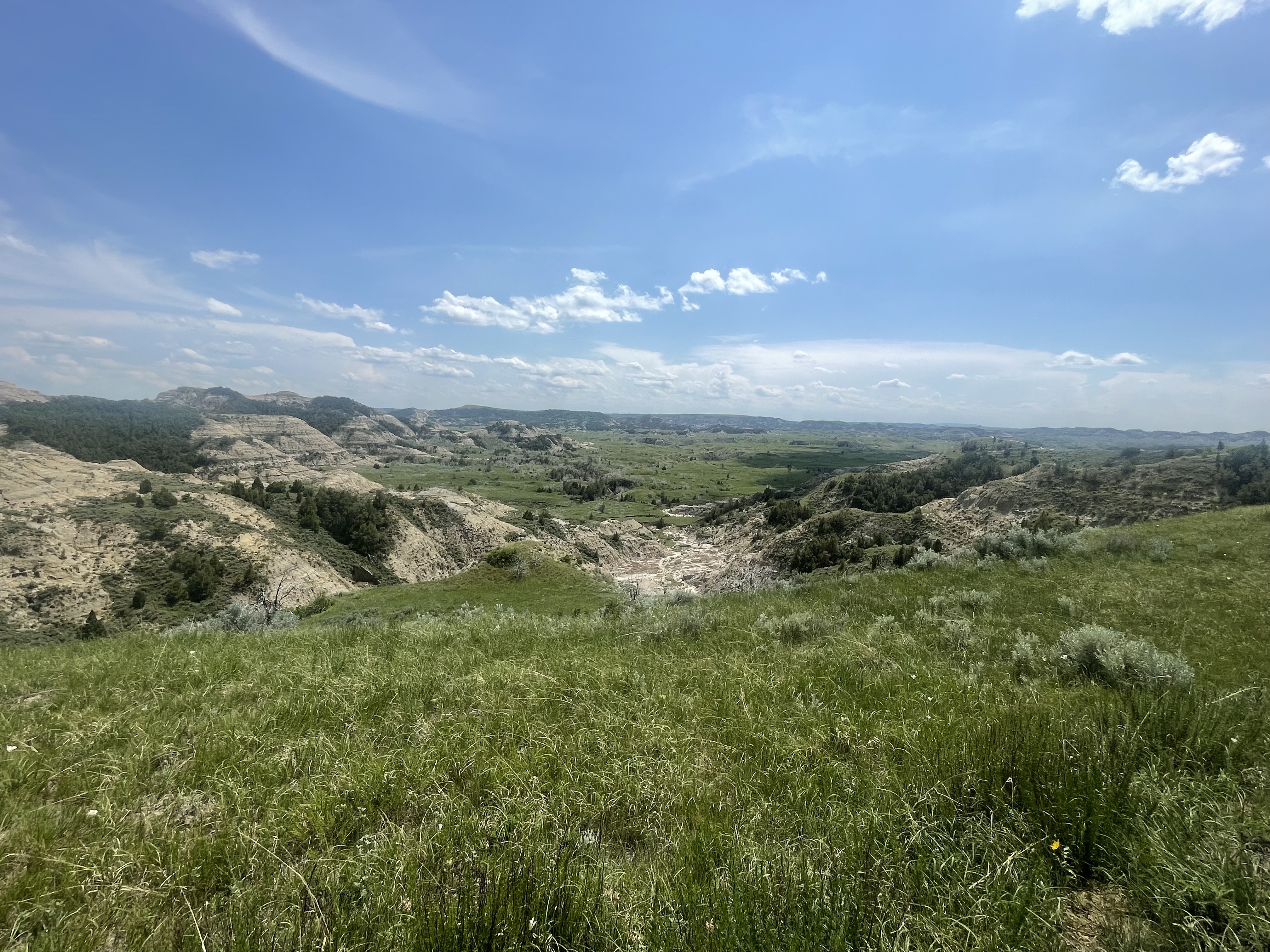 Green grass with tan and grey, rocky hills in the background all under a blue sky