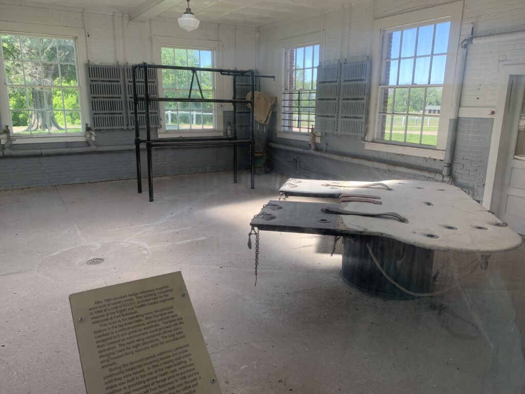 A sparsely furnished, sunlit room with large windows, an old examination table with restraints, and metal racks along the walls, viewed through glass. Trees are seen outside.