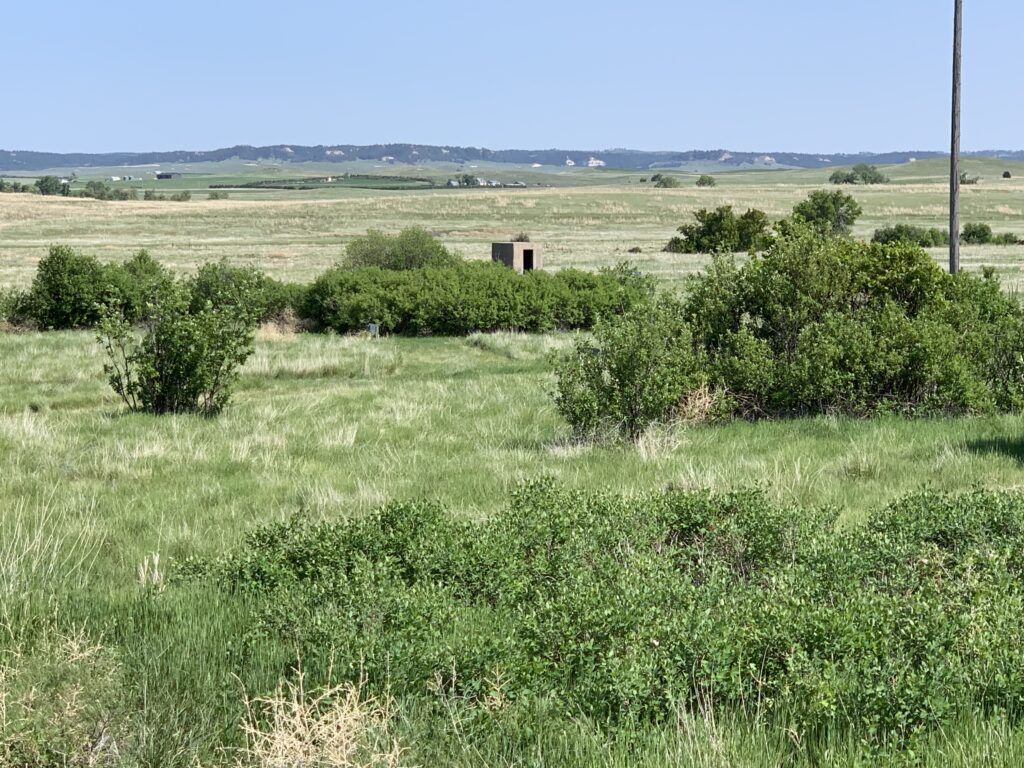 A grassy field with bushes. In the distance is a small, cement bunker-type building