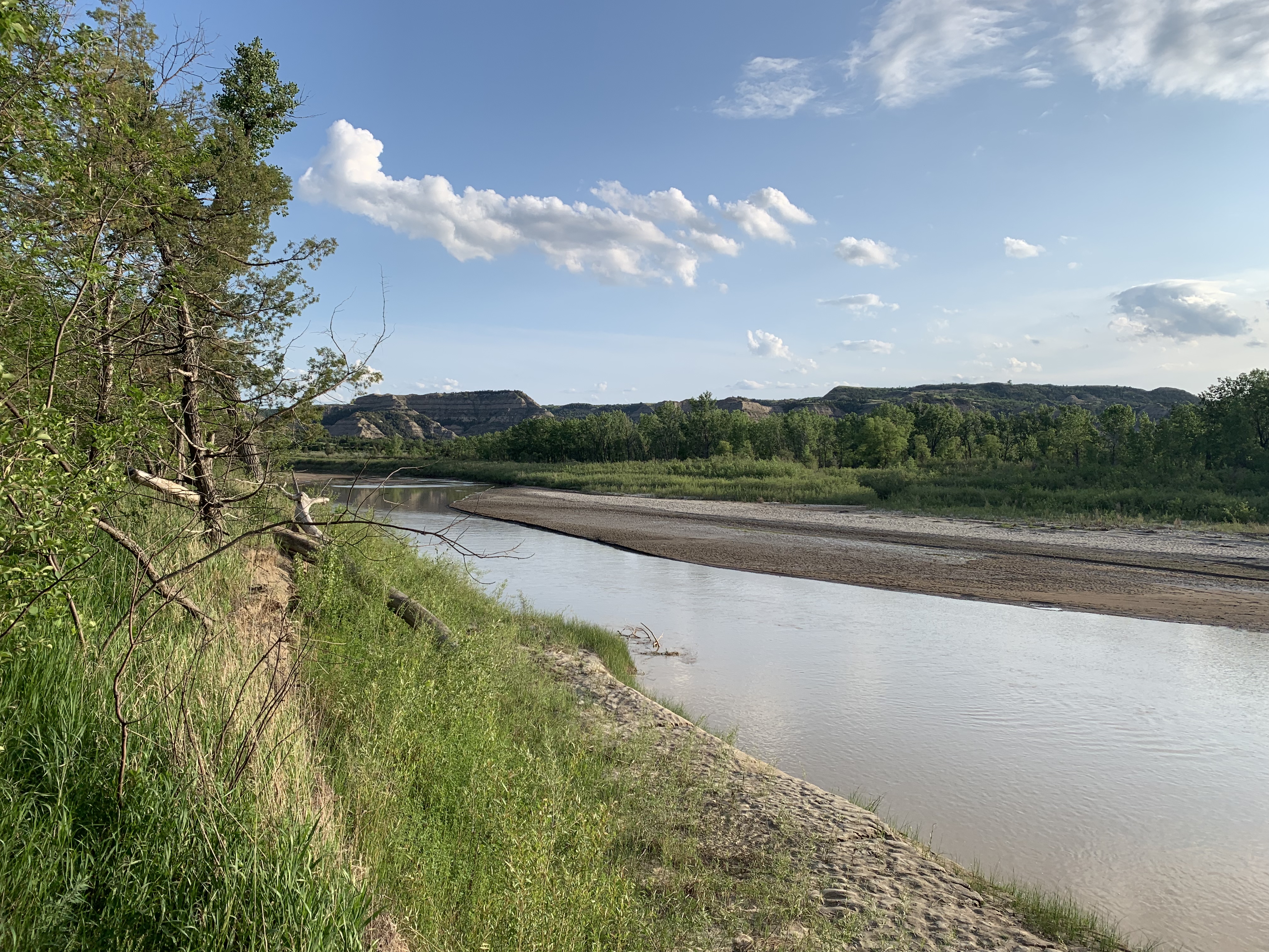 A brown river and sandy riverbed with a bank covered in green trees and grass on one side and a tree-covered hill on another, all under a blue sky and white, puffy clouds