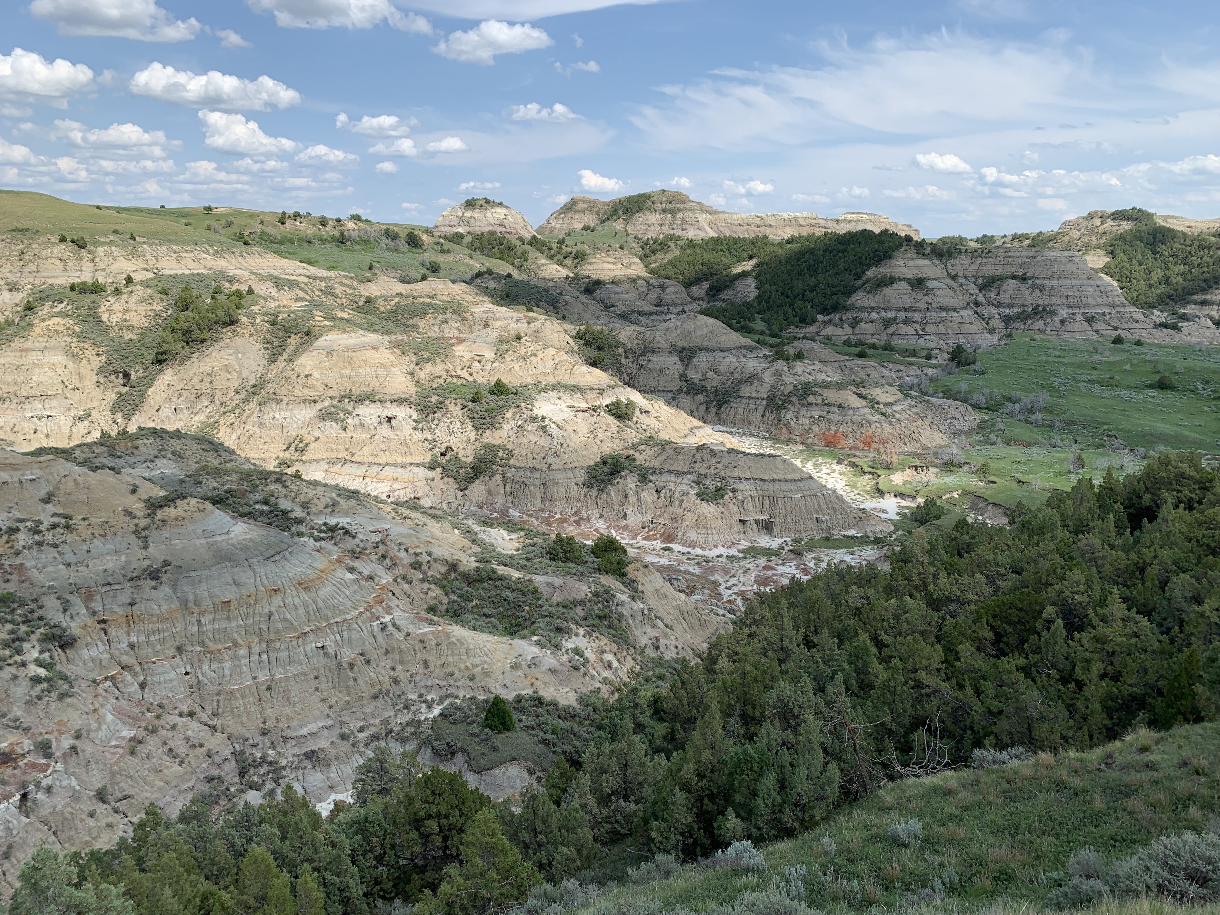 Rocky hills sparsely covered in green pines and grass with reddish-rock lines all under a blue sky and puffy, white clouds