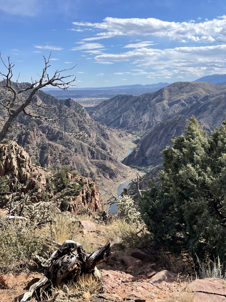 A scenic view of a rocky canyon with a river winding through it, surrounded by rugged mountains and dry vegetation, all under a partly cloudy blue sky. In the foreground, there are shrubs and a twisted, weathered tree.