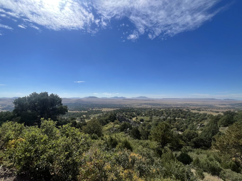 View of a vast landscape with green trees and shrubs in the foreground, open plains in the middle, distant mountains on the horizon, and a blue sky with scattered clouds above.