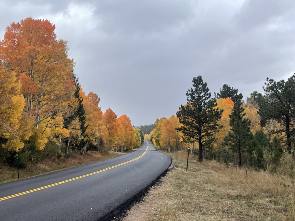 A road winds through a forest with vibrant autumn foliage. Trees with yellow, orange, and green leaves line both sides of the road, and the sky above is cloudy and gray.