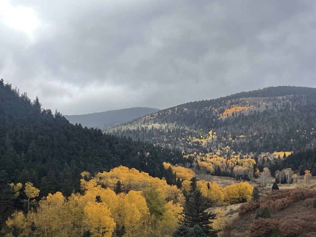 A landscape of rolling hills covered in trees, with vibrant, yellow autumn foliage mixed among dark green pines, under a cloudy, gray sky.
