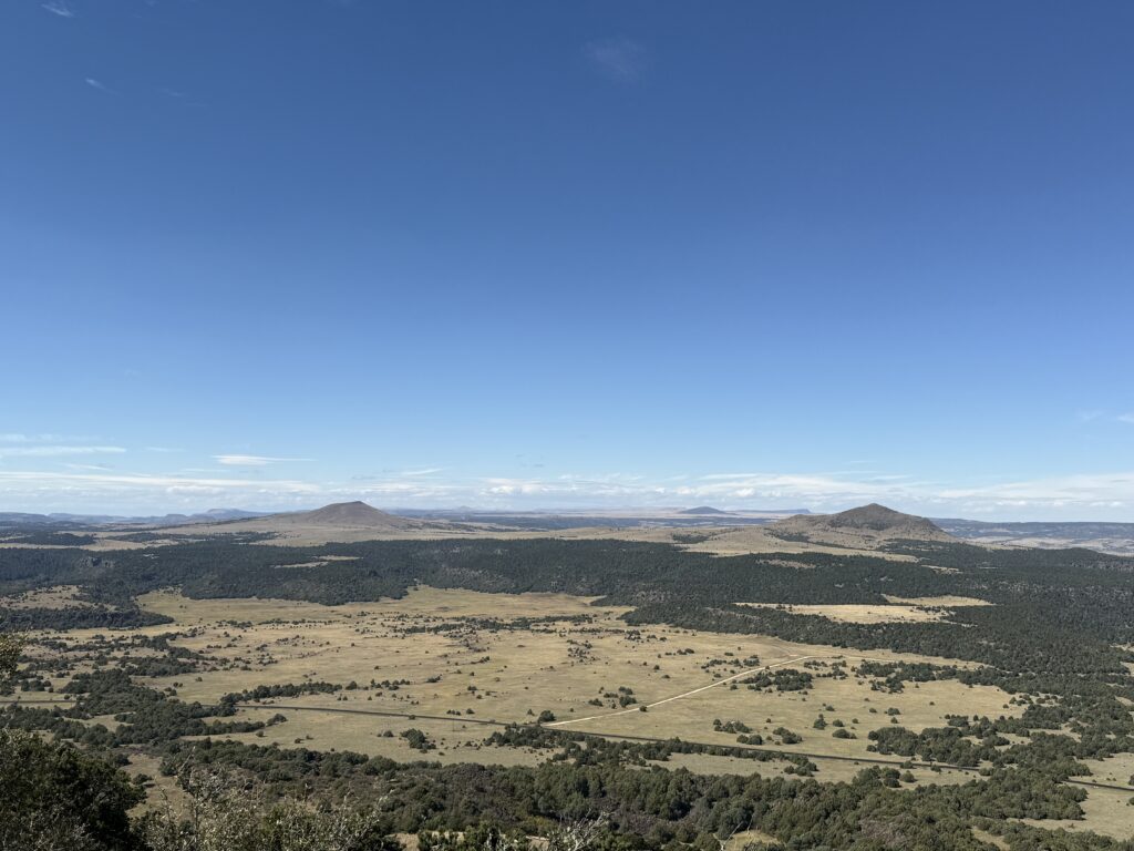 View from above, a wide vista from high above of grassy plains, scattered trees, and patches of forest under a clear blue sky with distant hills and mountains on the horizon.