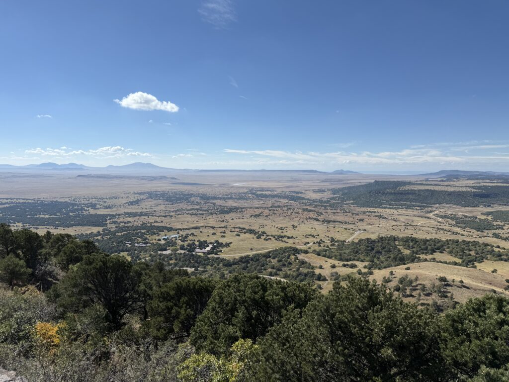 View from above, a vast landscape view of a grassy plain with scattered trees, rolling hills, and distant mountain ranges under a clear blue sky with a few clouds. The foreground features dense, green shrubs and trees.